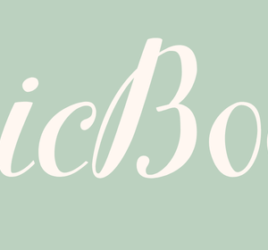 ChicBooks Bookkeeping System - One Time Payment